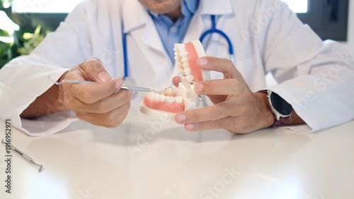 Obraz na płótnie Dentist explaining dental health using a tooth model, demonstrating oral hygiene