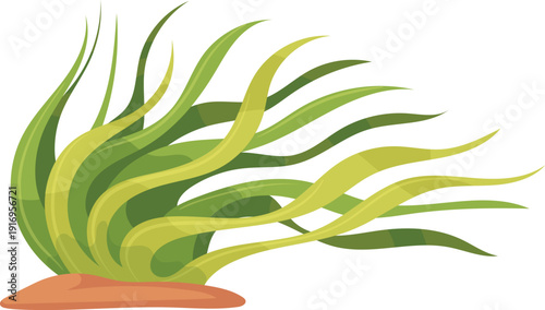 Green water plant. Marine seaweed cartoon icon