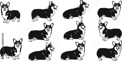 Collection of cute Pembroke Welsh Corgi dog silhouettes in various standing and sitting poses isolated on white background.