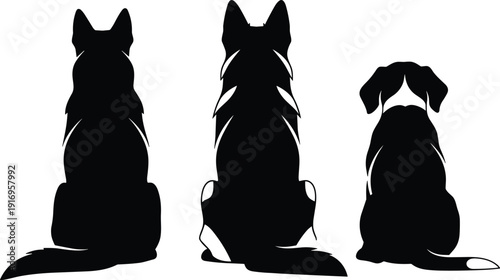 Set of black silhouettes showing three dogs sitting in back view including german shepherd isolated on white background.