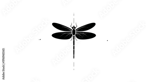 Black and white illustration of a dragonfly in silhouette, centered on a blank white canvas