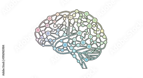 Human Brain Anatomy Illustration.
