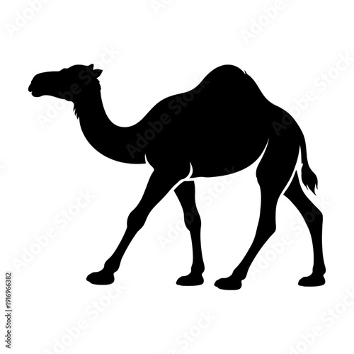 Camel Walking Silhouette Vector