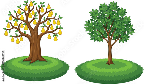Pear tree full of yellow ripe fruit and green leafy tree on grass mounds for agriculture gardening orchard nature and,