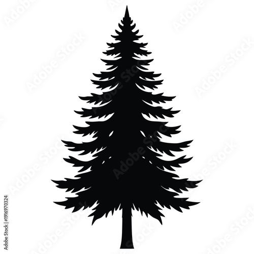 evergreen tree silhouette line art vector illustration with a white background