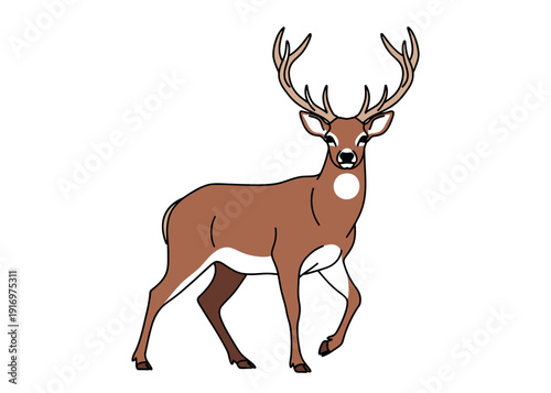 A brown deer with large antlers standing on looking forward with alert expression