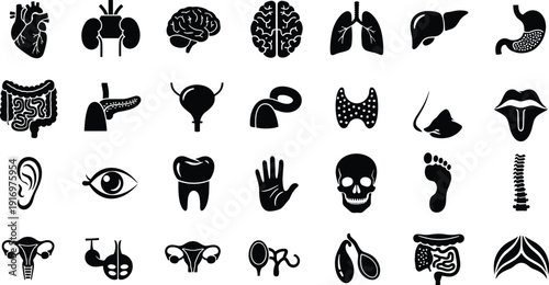 Black silhouettes of human body organs and parts