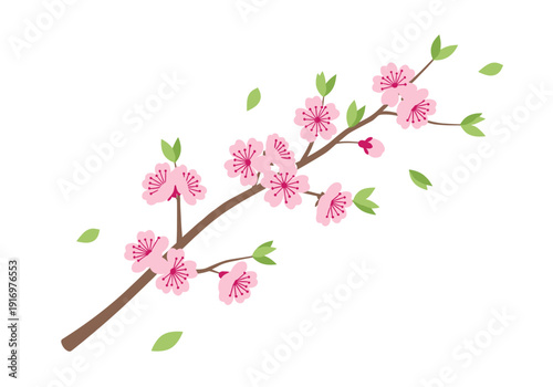 Cherry blossom branch with pink flowers and green leaves