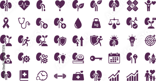 Various kidney anatomy illustrations for medical use