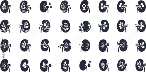 Kidney health icons with leaves and water droplets