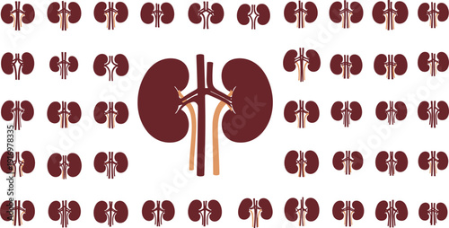 Set of kidney anatomy illustrations in red on white background