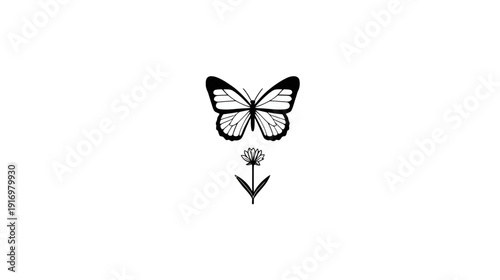 A monochrome illustration featuring a butterfly and a flower, set against a pristine white backdrop