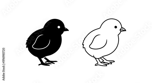 Two baby birds, one black and one white, standing on the ground, vector illustration Vector