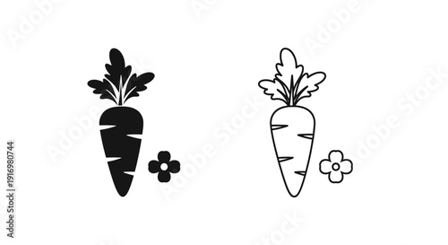 Carrot illustration, vegetable drawing, fresh carrot, healthy food, organic carrot Vector