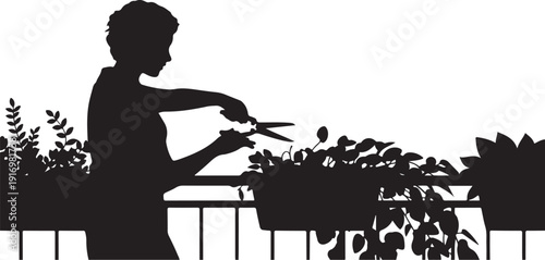 Silhouette of person trimming flowers on balcony with potted plants