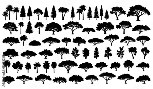 Big vector set of diverse tree silhouettes from different natural zones on white background