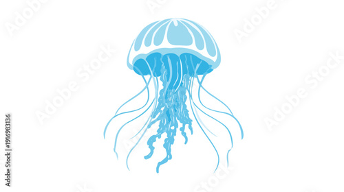 A cartoon jellyfish floats, transparent blues on white, with dome and long flowing tentacles