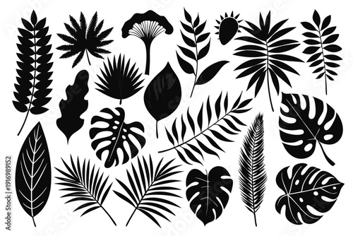 Wallpaper Mural set of tropical leaves and palm leaves silhouette line art vector illustration with a white background Torontodigital.ca