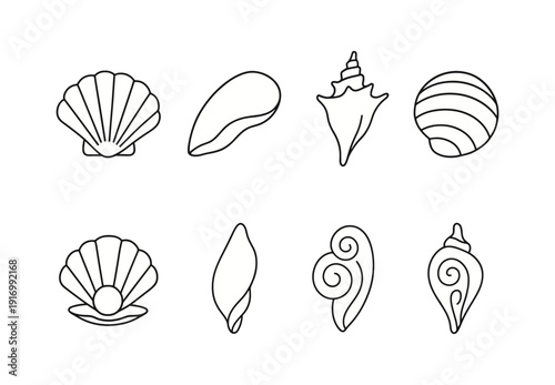 Line art seashell collection: elegant black and white marine designs