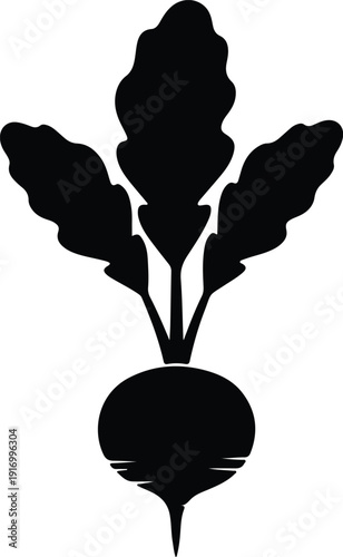 silhouette beet vegetable with green leaves healthy food vector design