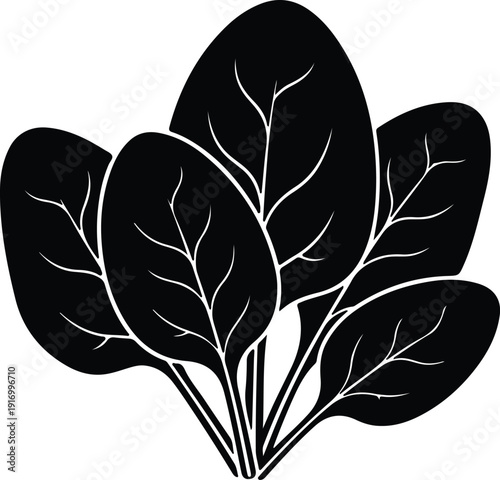 silhouette fresh bunch of spinach leaves for healthy food vector design