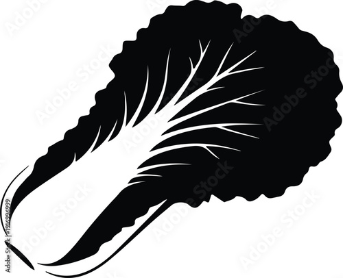 silhouette fresh napa cabbage vegetable healthy food ingredient simple line art vector design