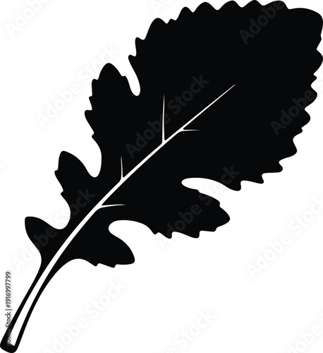 silhouette of a single detached oak leaf with serrated edges vector design