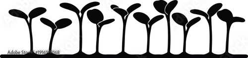 silhouette row of young plant sprouts growing from soil vector design