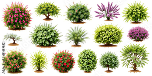 A collection of different types of bushes and trees