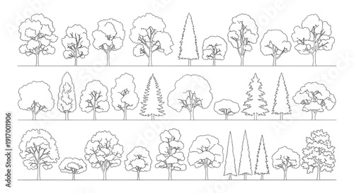 Top View CAD Tree and Shrub Set – Architectural Black Outline Vector Blocks for Landscape Design