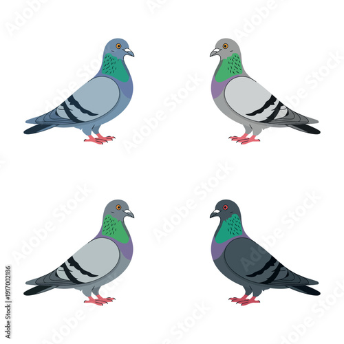Four pigeons with different colored feathers standing side by side