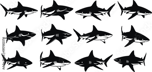 Shark illustration collection, marine animal icons, ocean wildlife artwork, fish vector clipart, aquatic design, sea predator graphics, underwater species set