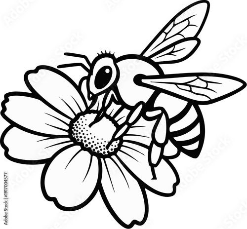 A bee collects nectar from a large daisy flower, depicted in black and white
