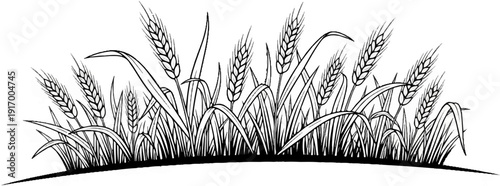A black and white drawing of wheat stalks swaying gently in the breeze