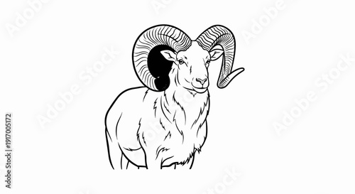 A black and white outline illustration of a majestic ram with large, curled horns
