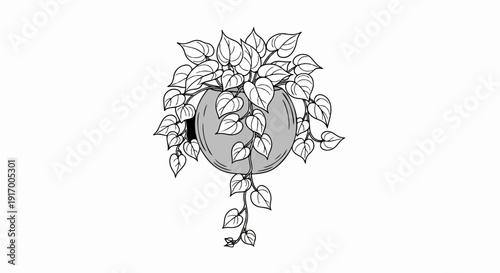 A black and white sketch of a hanging potted plant with lush green leaves