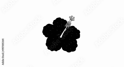 A black hibiscus flower with white stamen against a white background