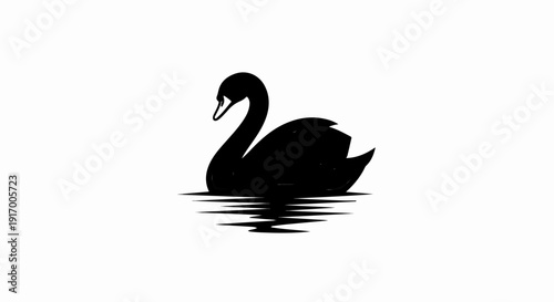 A black swan with its reflection appears on a white background