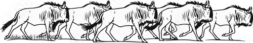 A line of wildebeests in motion, drawn in black and white ink