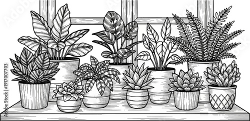 A collection of various potted plants arranged on a shelf by a window
