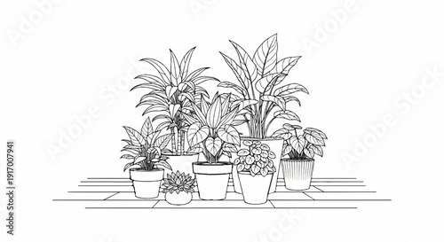 A minimalist line drawing displays a variety of potted houseplants on a platform