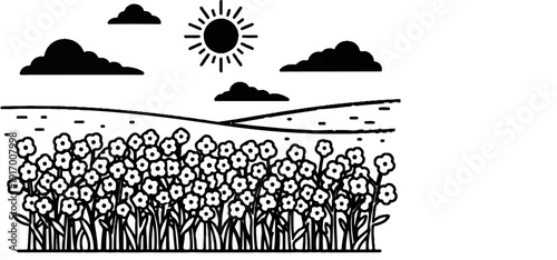 A field of small flowers beneath a sunny sky with clouds and rolling hills