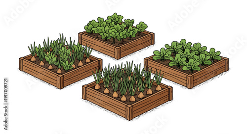 Isometric garden beds with vegetables: green onions, lettuce, and radishes