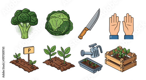 Organic gardening essentials: vegetables, tools, and harvesting hands in colorful cartoons