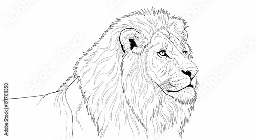 Majestic lion, profile view, detailed mane and face, outlined illustration