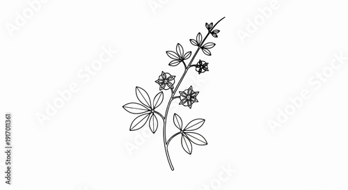 A black and white line drawing of a flowering plant branch with five-petaled star-shaped flowers and leaves