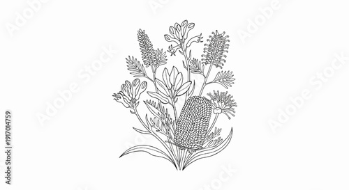 A black and white line drawing of a bouquet of native Australian flowers