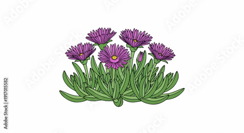 A stylized illustration of a succulent plant with vibrant purple daisy-like flowers