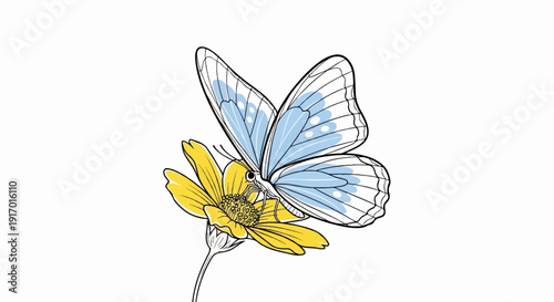 Blue butterfly with spotted wings feeding on a yellow daisy