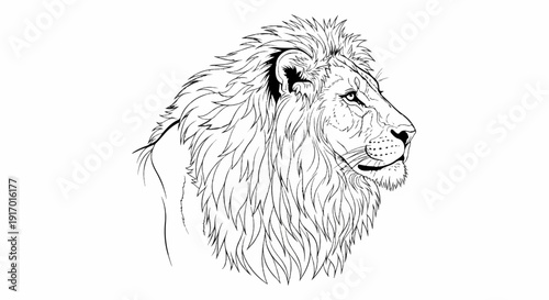 Line drawing of a male lion's profile with detailed mane and face